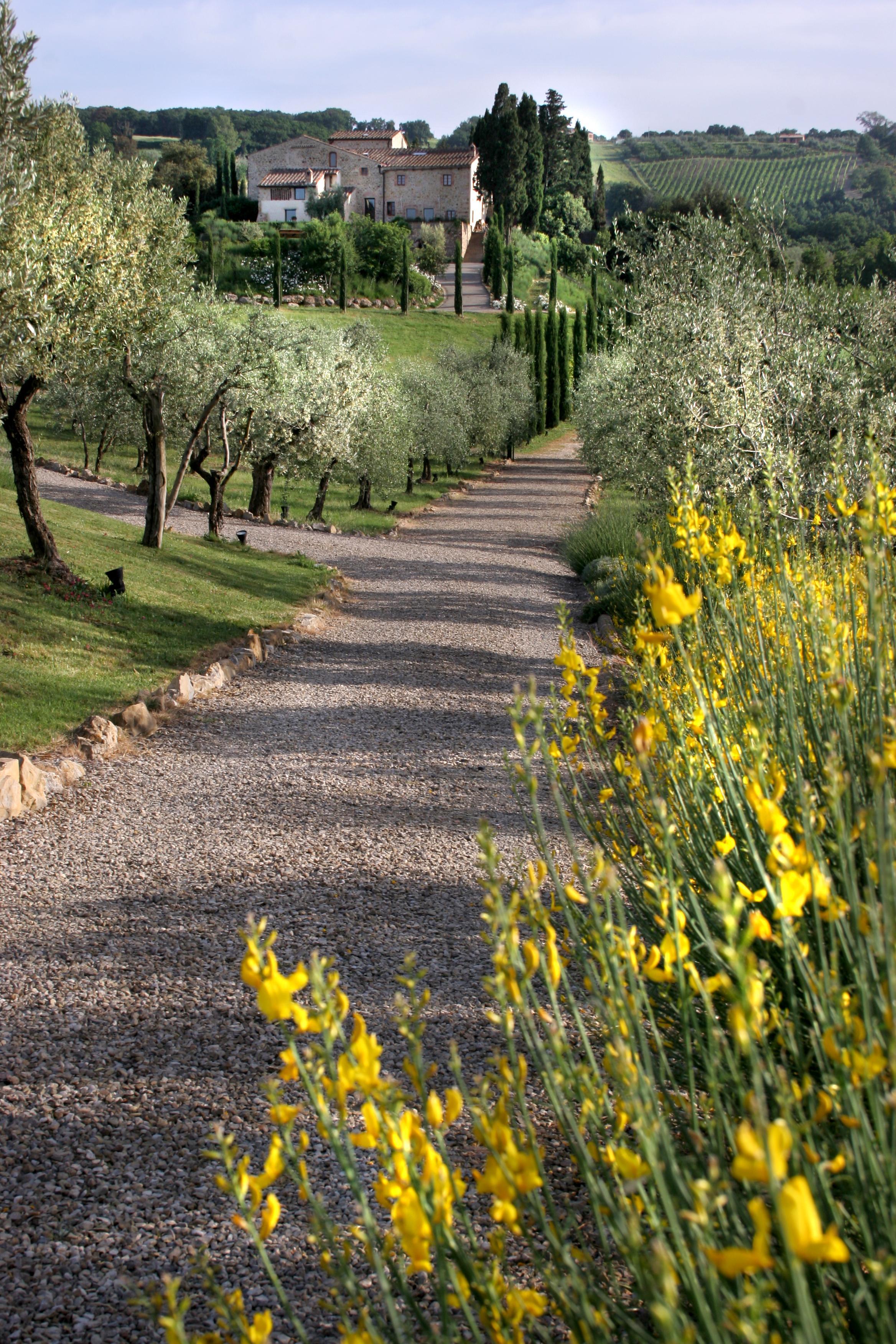 Tenuta Sant'Ilario Villa Gambassi Terme Esterno foto